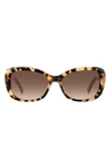 Kate Spade Elowen 55mm Gradient Round Sunglasses In Beige Brown Havana