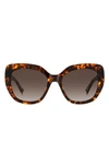 Kate Spade Winslet 55mm Gradient Round Sunglasses In Havana/ Brown Gradient