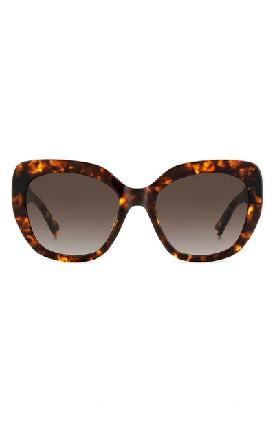 Kate Spade Winslet 55mm Gradient Round Sunglasses In Havana/ Brown Gradient