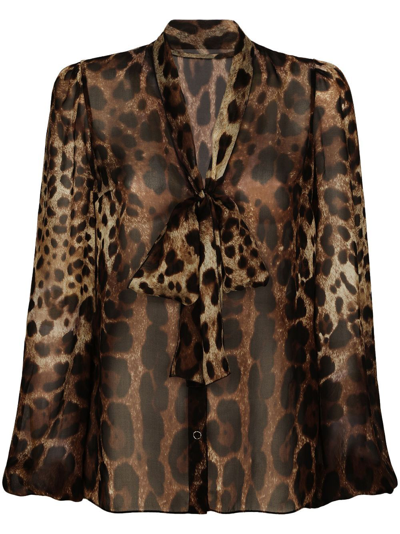 Dolce & Gabbana Pussy-bow Leopard-print Chiffon Shirt In Brown