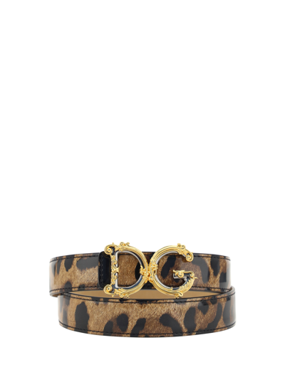 Dolce & Gabbana Belt In Leo