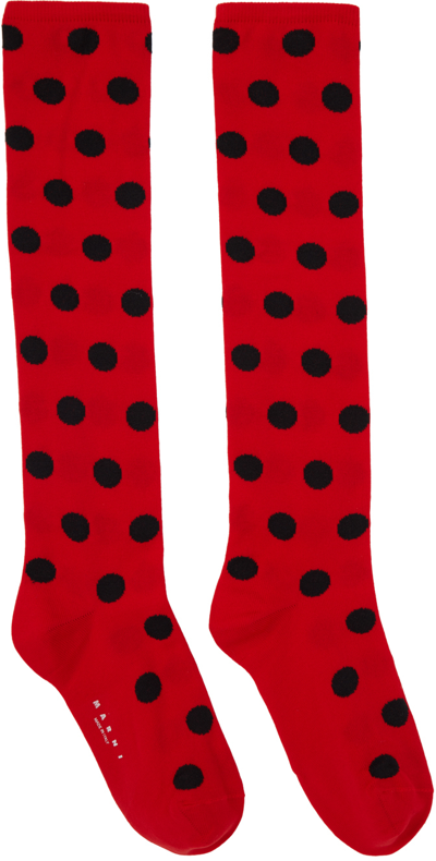 Marni Red & Black Polka Dots Socks In Dor67 Tulip