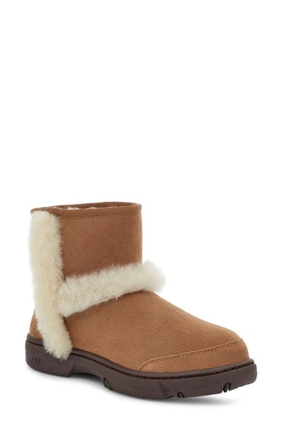 Ugg Sunburst Suede Shearling Classic Boots In Chestnut
