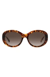 Kate Spade Avah 56mm Gradient Round Sunglasses In Havana/ Brown Gradient
