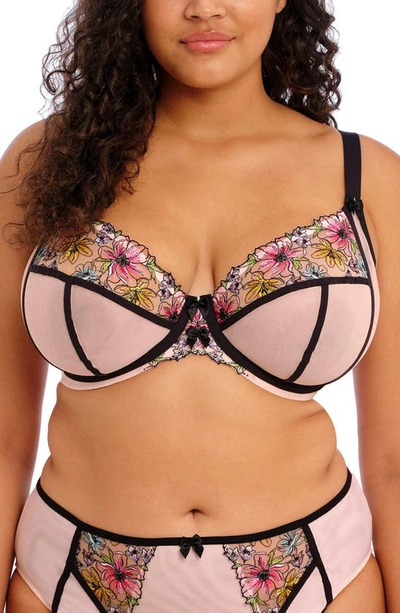 Elomi Carrie Plunge Bra In Ballet Pink