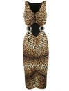 Roberto Cavalli Leopard-print Cut-out Midi Dress In Natural