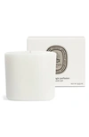 DIPTYQUE DIPTYQUE LA VALLÉE DU TEMPS (VALLEY OF TIME) REFILLABLE CANDLE