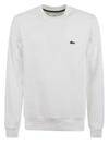 LACOSTE LACOSTE SWEATERS WHITE