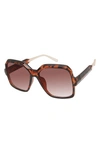 Vince Camuto Glam Square Sunglasses In Tortoise