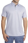 Tailorbyrd Classic Fit Solid Polo In Sky Blue