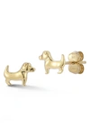 Ember Fine Jewelry Dog Stud Earrings In Gold