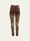 Dolce & Gabbana High Waist Leopard Print Cotton Blend Leggings In Print Leo