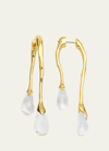 ALEXIS BITTAR LUCITE FRONT-BACK DOUBLE DROP EARRINGS
