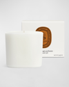 DIPTYQUE TERRES BLONDES (GOLDEN LANDS) CANDLE REFILL, 9.5 OZ.