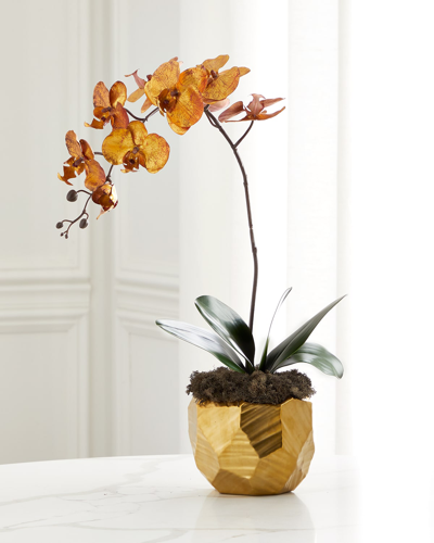John-richard Collection Burnished Orchid Arrangement