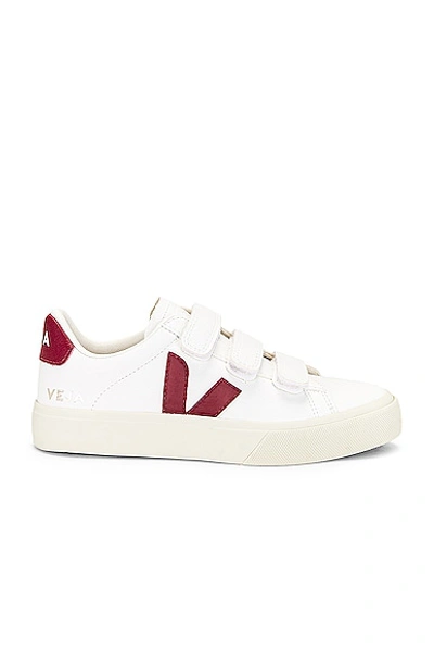 Veja Recife Trainer In Ruby Red