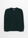 Polo Ralph Lauren Kids' Polo Pony Round-neck Jumper In Green