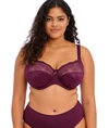 Elomi Morgan Full Figure Underwire Bra In Black Berry