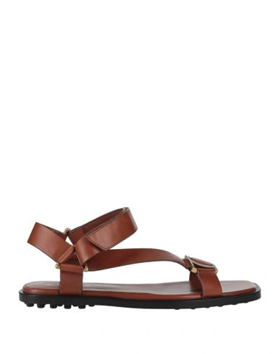Tod's Woman Sandals Brown Size 7 Soft Leather