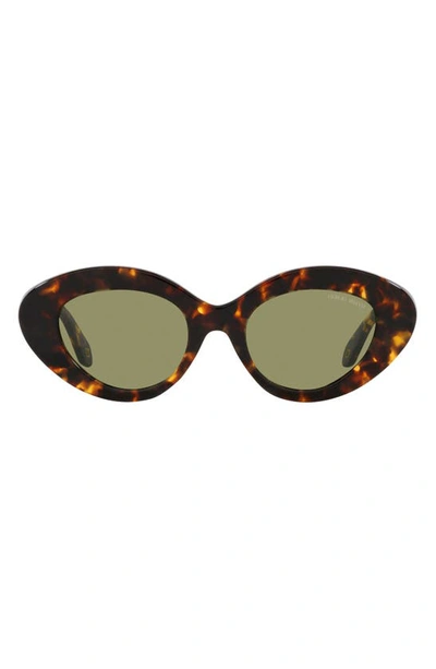 Armani Exchange 50mm Gradient Small Cat Eye Sunglasses In Blonde Havana