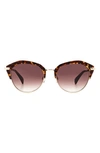 Rag & Bone 55mm Gradient Round Sunglasses In Havana/ Burgundy Shaded