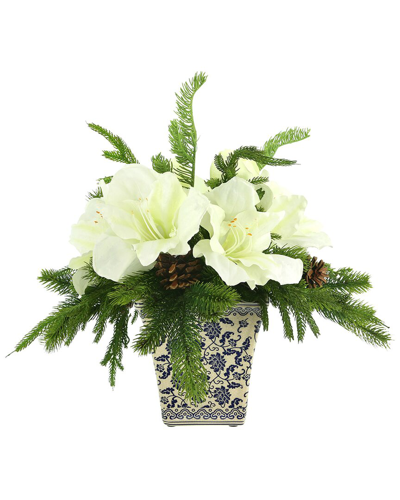Creative Displays White Amaryllis Holiday Arrangement With Pine In A Ceramic Pot