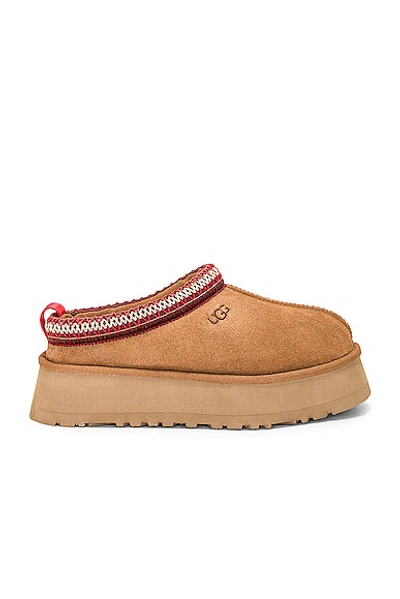 Ugg Tazz Slipper In Brown
