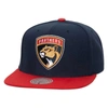 Mitchell & Ness Men's  Navy Florida Panthers Core Team Ground 2.0 Snapback Hat In Navy