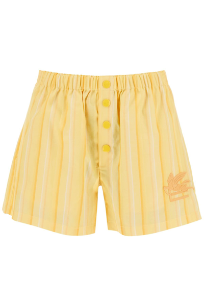 Etro Embroidered Striped Cotton And Silk-blend Shorts In Yellow