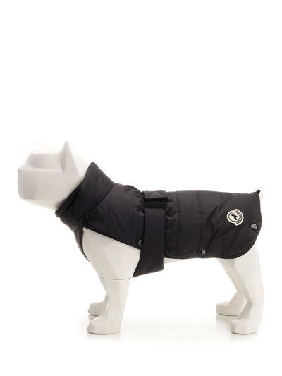 Moncler Dog Vest In Black