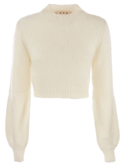 Marni Crewneck Cropped Knit Jumper In White
