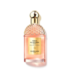 GUERLAIN GUERLAIN AQUA ALLEGORIA FORTE ROSA PALISSANDRO EAU DE PARFUM 125ML