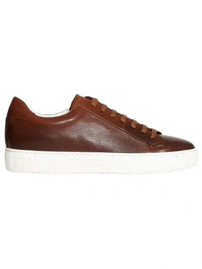 Doucal's Ombré Leather Sneakers In Brown