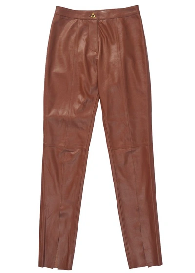 Aeron Elm Leather Pants In Brown