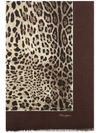 Dolce & Gabbana Leopard-print Silk Scarf In Brown