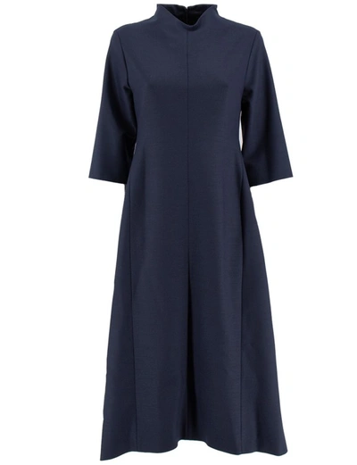 Fabiana Filippi Dress In Blue