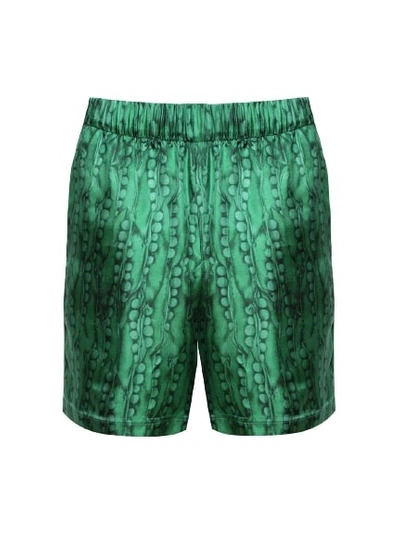 Givenchy Formal Elastic Shorts In Green