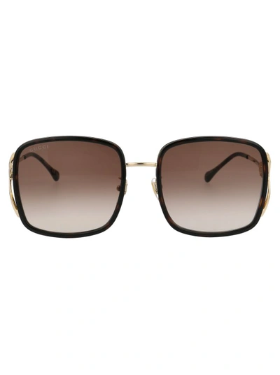 Gucci Gg1016sk In Brown