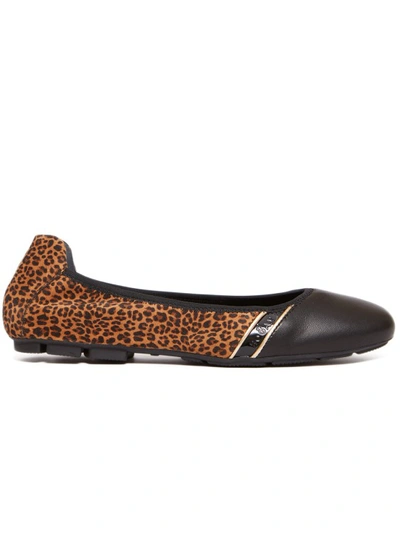 Hogan Black Spotted Suede Leather Ballerina In Brown