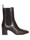 Ash Combo B Nappa Foulard In Brown