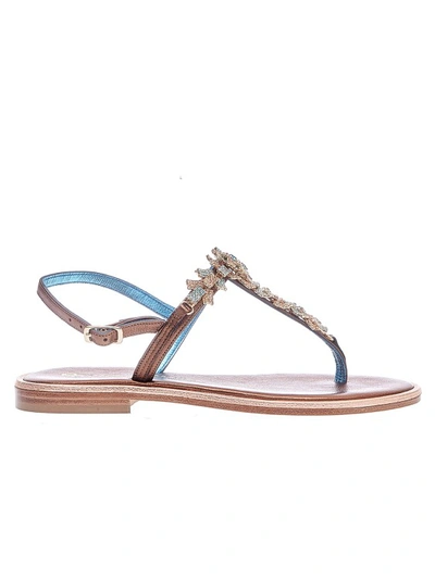 Paola Fiorenza Bronze And Blue Rhinestones Flip Flops In Brown