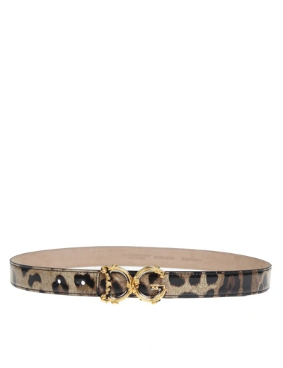 Dolce & Gabbana Belt In Glossy Calf Leather With Baroque Logo In Brown