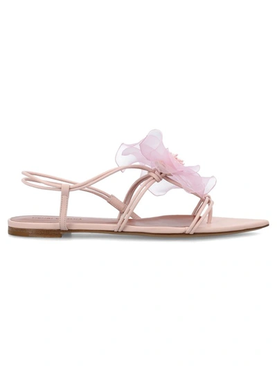 Nensi Dojaka Pastel Pink Nappa Leather Thong Sandals