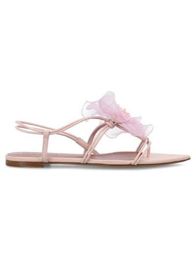 Nensi Dojaka Woman Thong Sandal Pink Size 7 Leather