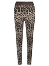 Dolce & Gabbana Logo-waistband Leopard-print Leggings In Brown