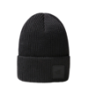 THE NORTH FACE THE NORTH FACE EXPLORE LOGO PATCH BEANIE