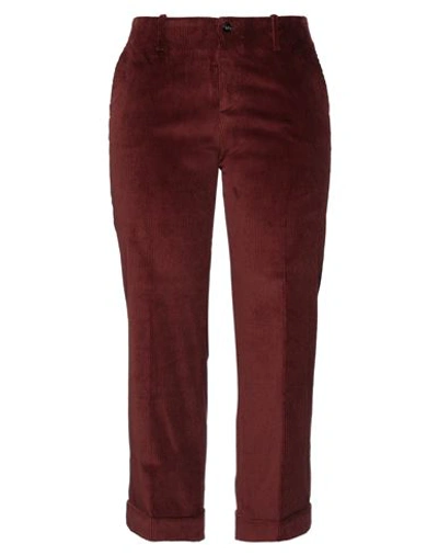 Berwich Woman Pants Burgundy Size 2 Cotton, Elastane In Red