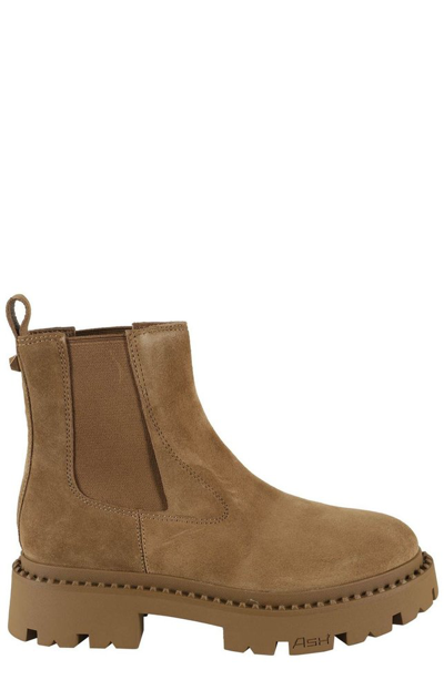 Ash Genesis Round Toe Ankle Boots In Brown