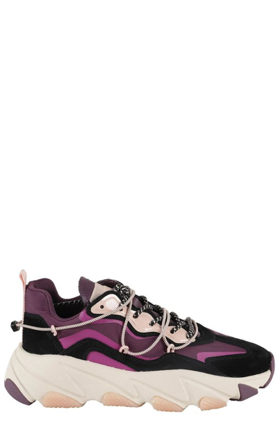 Ash Extra Low-top Sneakers In Purple