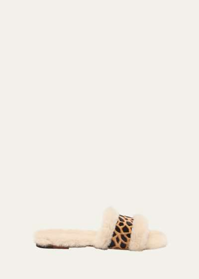 Manolo Blahnik Anacletus Shearling Animal-print Cozy Slide Sandals In Ypri905j